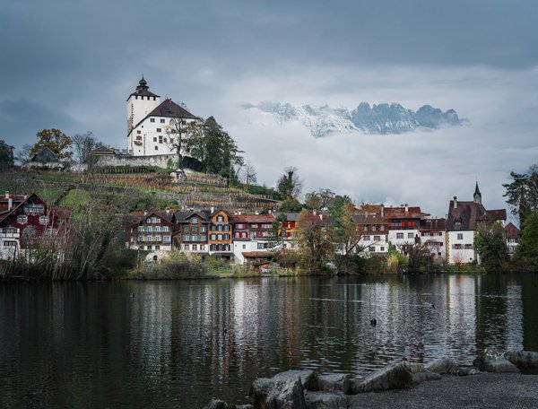 Quelles astuces pour préparer une bûche de Noël légère et fruitée?